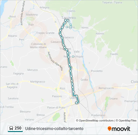 250 Bus Line Map