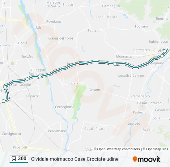 300 Bus Line Map