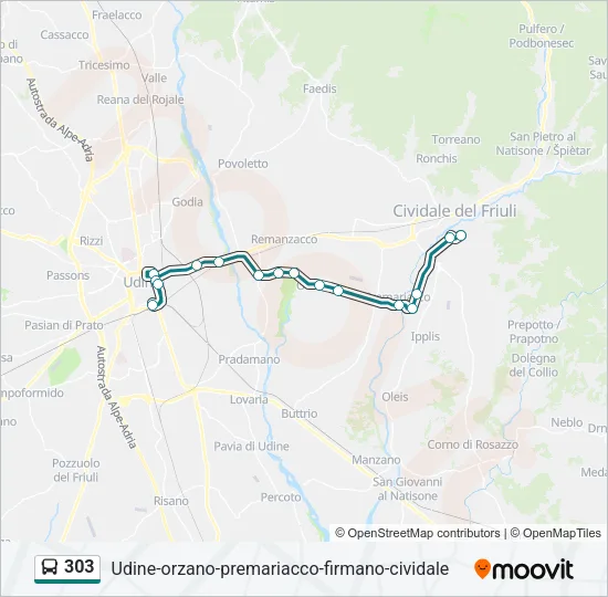 303 Bus Line Map