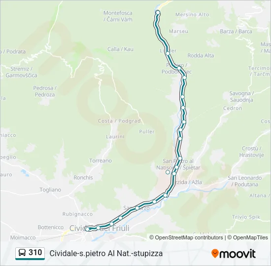 310 Bus Line Map