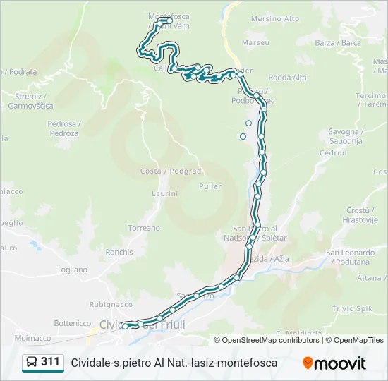 311 Bus Line Map