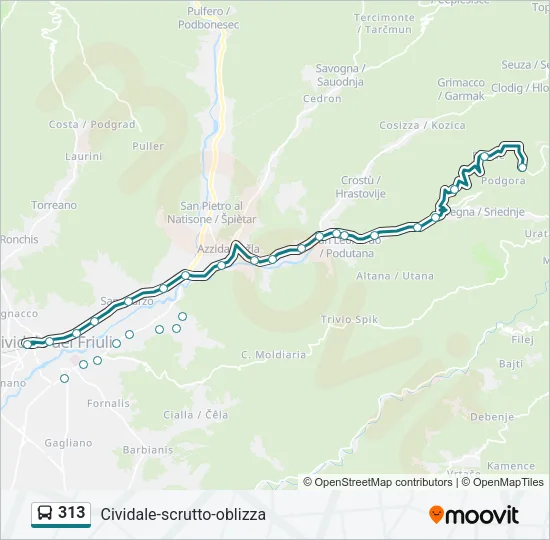 313 Bus Line Map