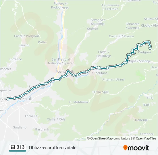 313 Bus Line Map