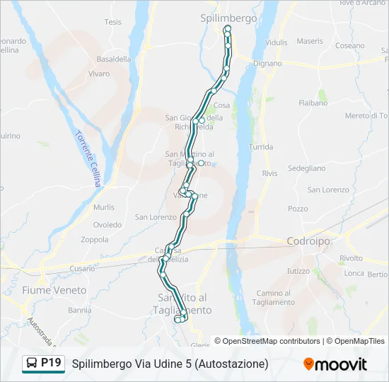 P19 Bus Line Map