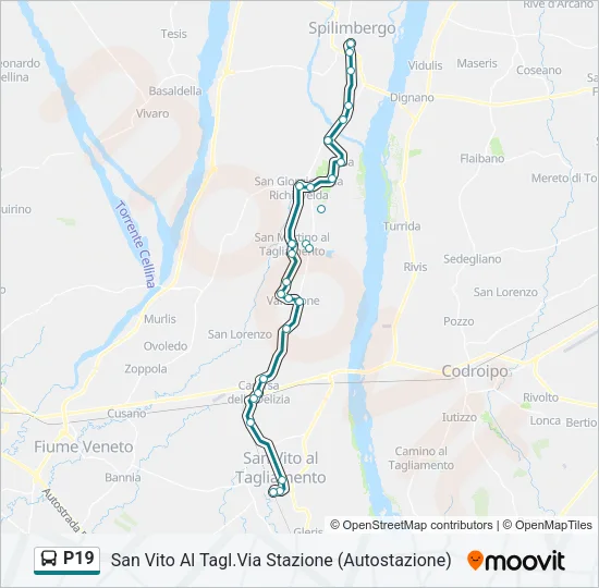 P19 Bus Line Map