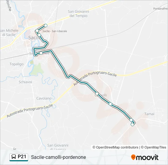 P21 Bus Line Map