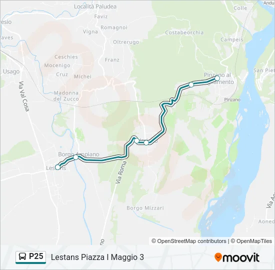 P25 Bus Line Map