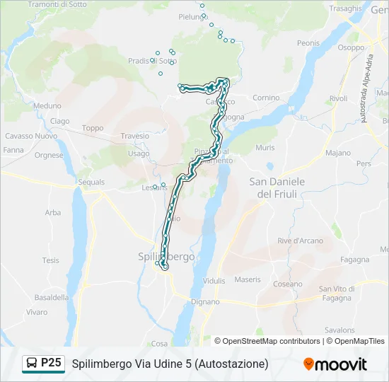 P25 Bus Line Map
