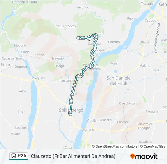 P25 Bus Line Map