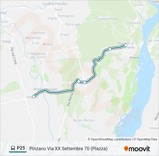 P25 Bus Line Map