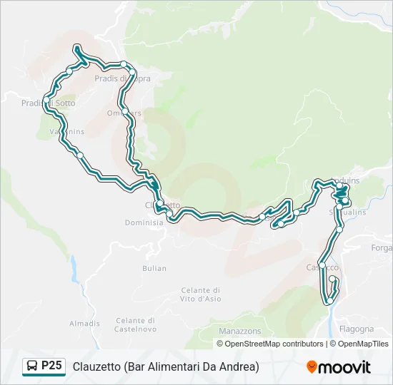 P25 Bus Line Map