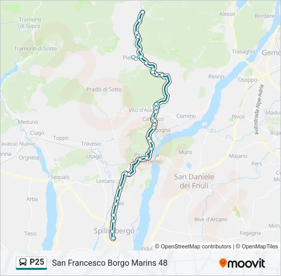 P25 Bus Line Map