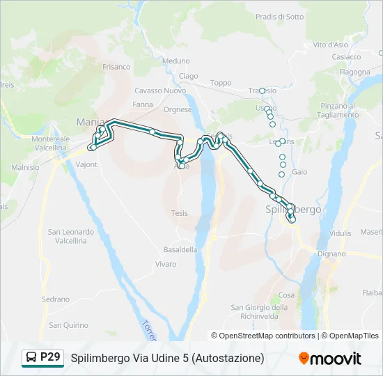 P29 Bus Line Map