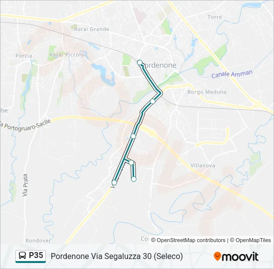 P35 Bus Line Map