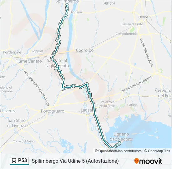 P53 Bus Line Map