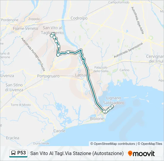 P53 Bus Line Map