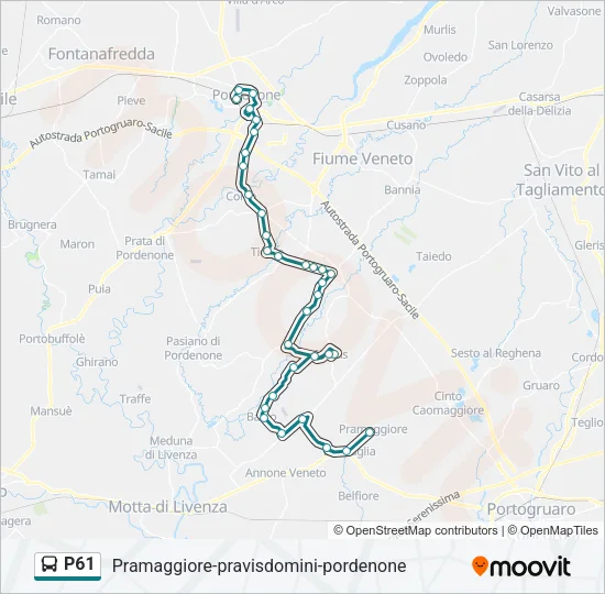 P61 Bus Line Map