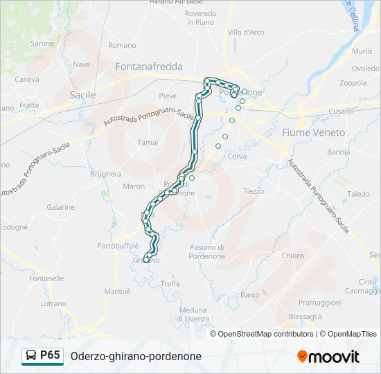 P65 Bus Line Map