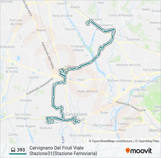 393 Bus Line Map