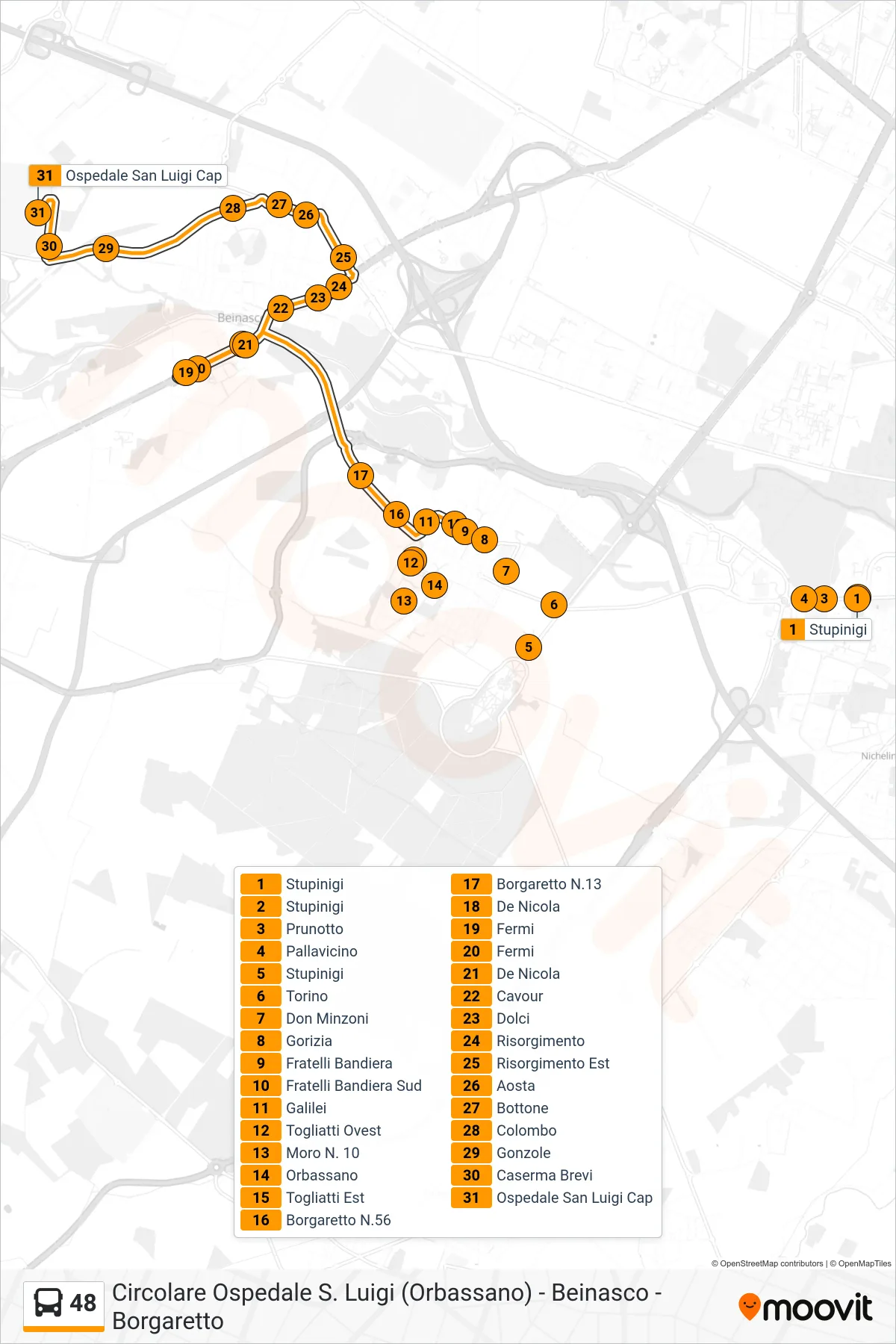 48 bus Line (Orbassano San Luigi Hospital) route and stops on a map