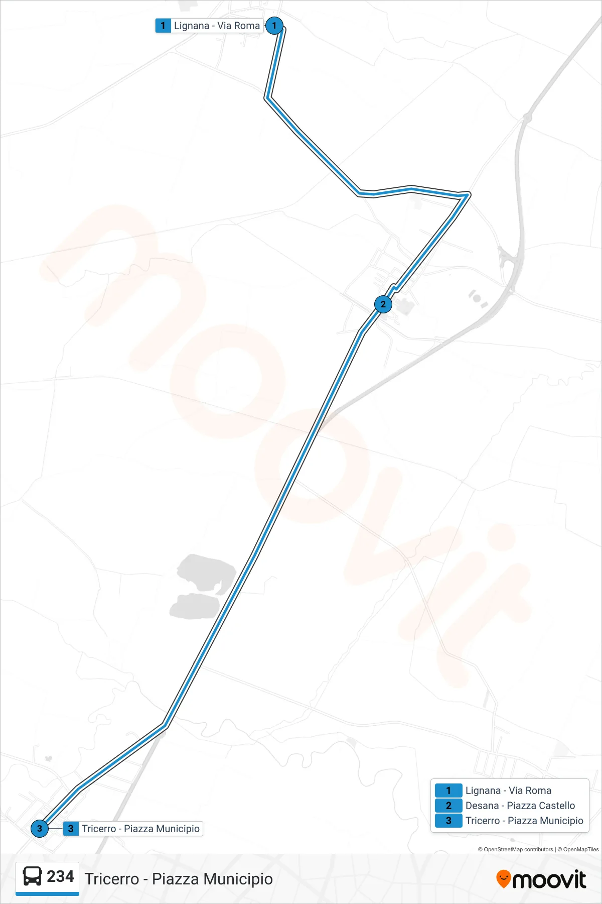 Linea 234  bus (Tricerro - Piazza Municipio) - Percorsi e fermate sulla mappa