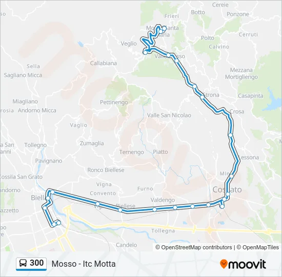300 Bus Line Map
