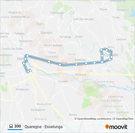 300 Bus Line Map