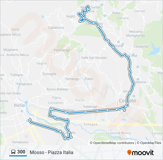 300 Bus Line Map