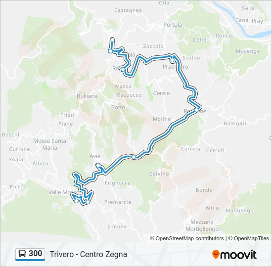 300 Bus Line Map