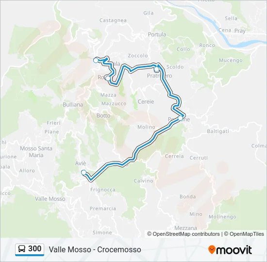 300 Bus Line Map