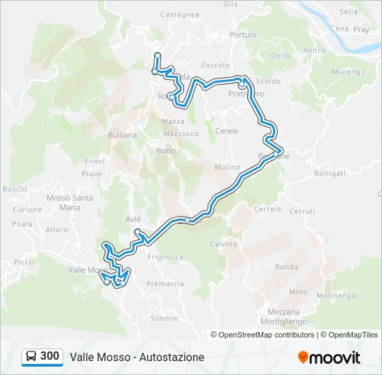 300 Bus Line Map