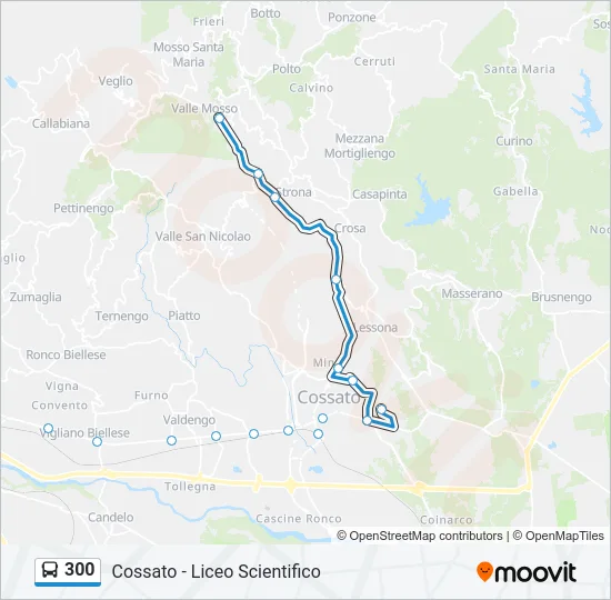 300 Bus Line Map