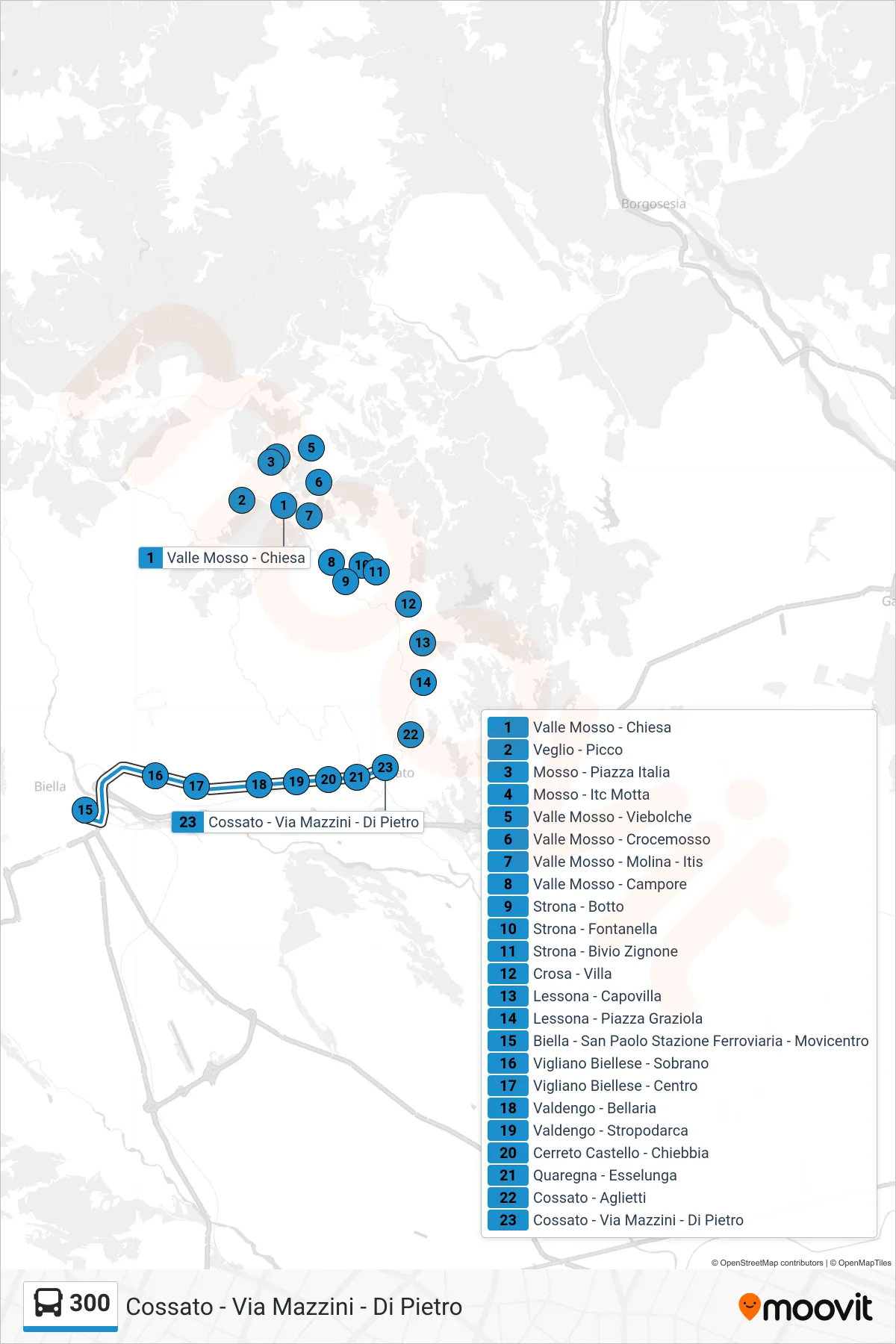 Linea 300 bus (Cossato - Via Mazzini - Di Pietro) - Percorsi e fermate sulla mappa
