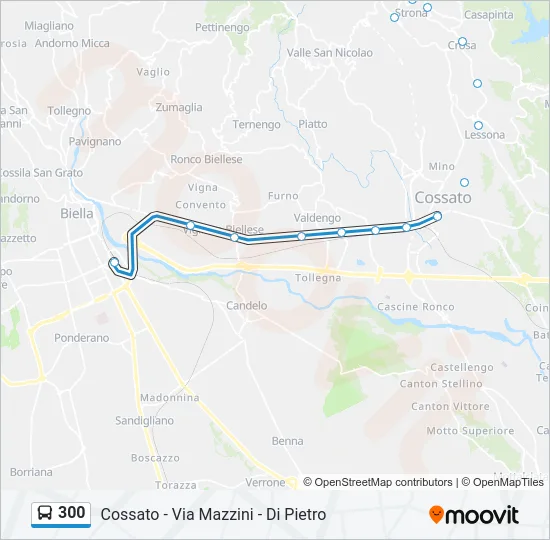 300 Bus Line Map