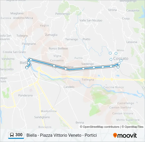 300 Bus Line Map