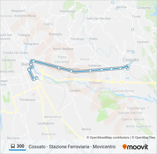 300 Bus Line Map
