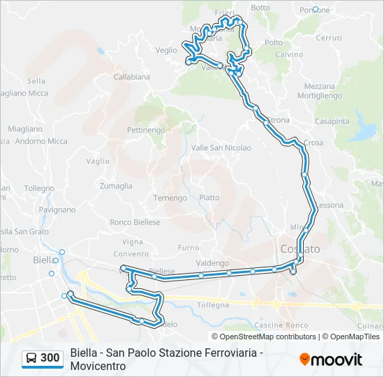 300 Bus Line Map