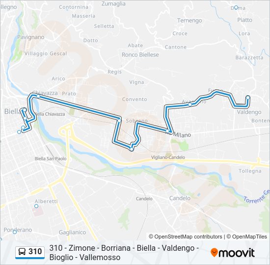 Percorso linea bus 310