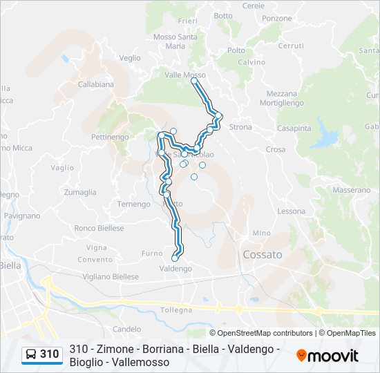 Percorso linea bus 310