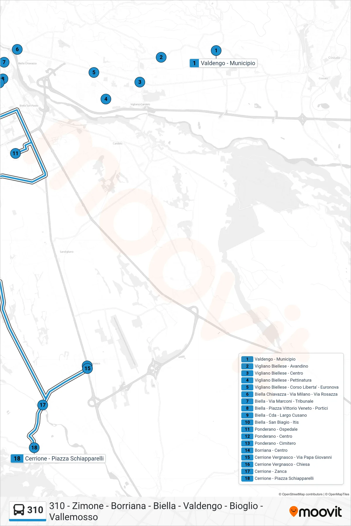 Linea 310 bus (Cerrione - Piazza Schiapparelli) - Percorsi e fermate sulla mappa