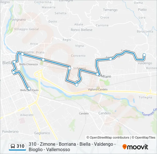310 Bus Line Map