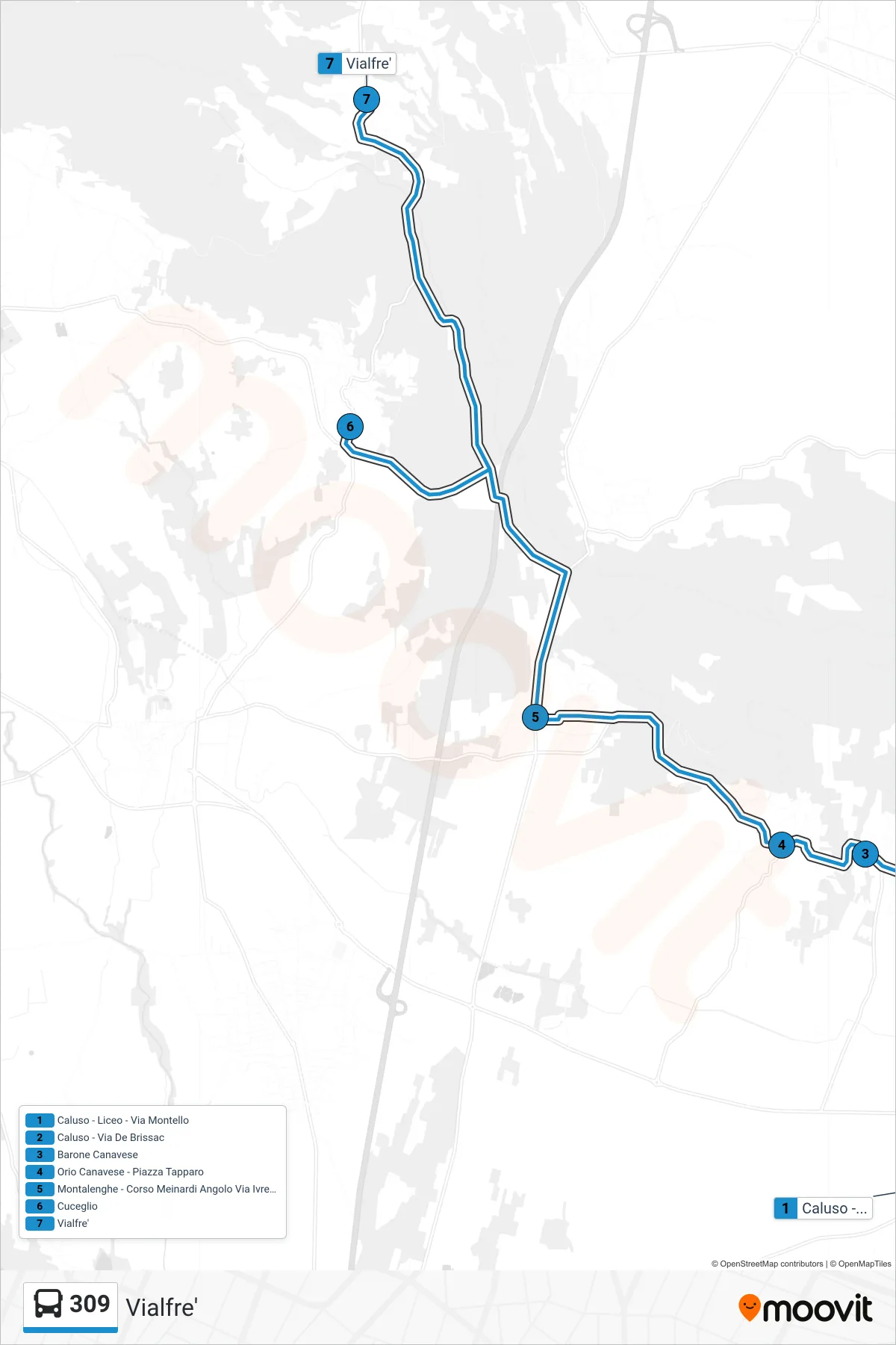 Linea 309 bus (Vialfre') - Percorsi e fermate sulla mappa