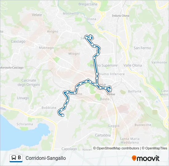 B Bus Line Map