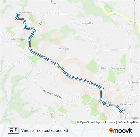 P Bus Line Map
