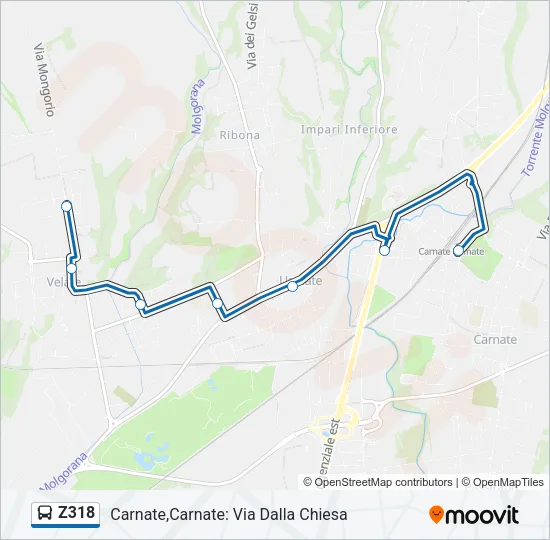 Z318 Bus Line Map
