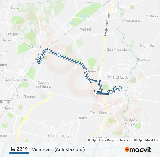 Percorso linea bus Z319