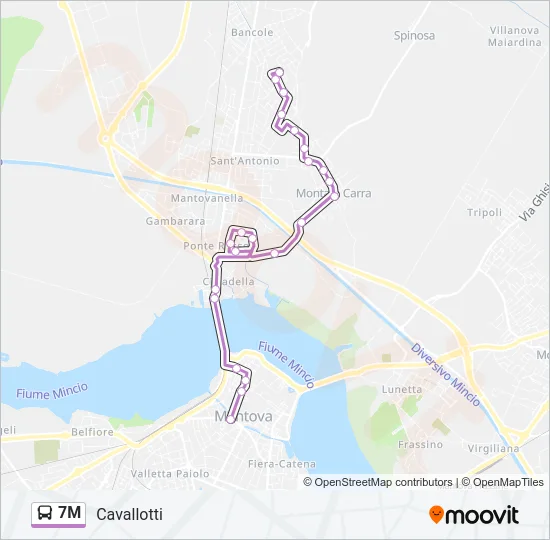 7M Bus Line Map