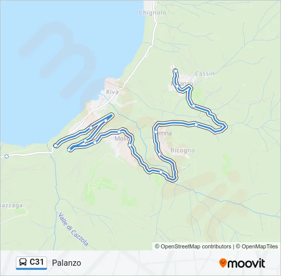 C31 Bus Line Map