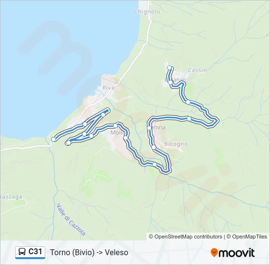 C31 Bus Line Map