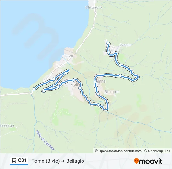 C31 Bus Line Map